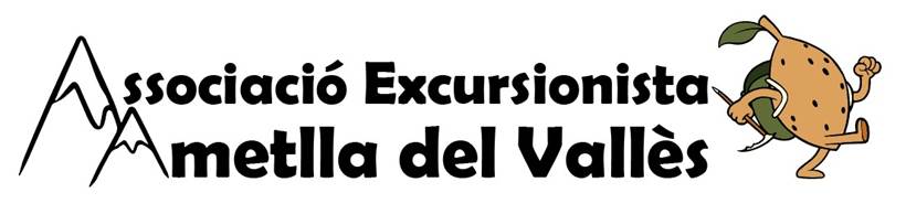 Imatge que cont text, Font, clipart, dibuixos

Descripci generada automticament