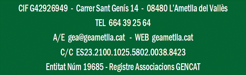 Imatge que conté text, captura de pantalla, Font, verd
Descripció generada automàticament